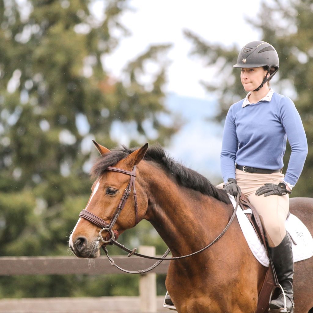 about-the-horse-girl-startup