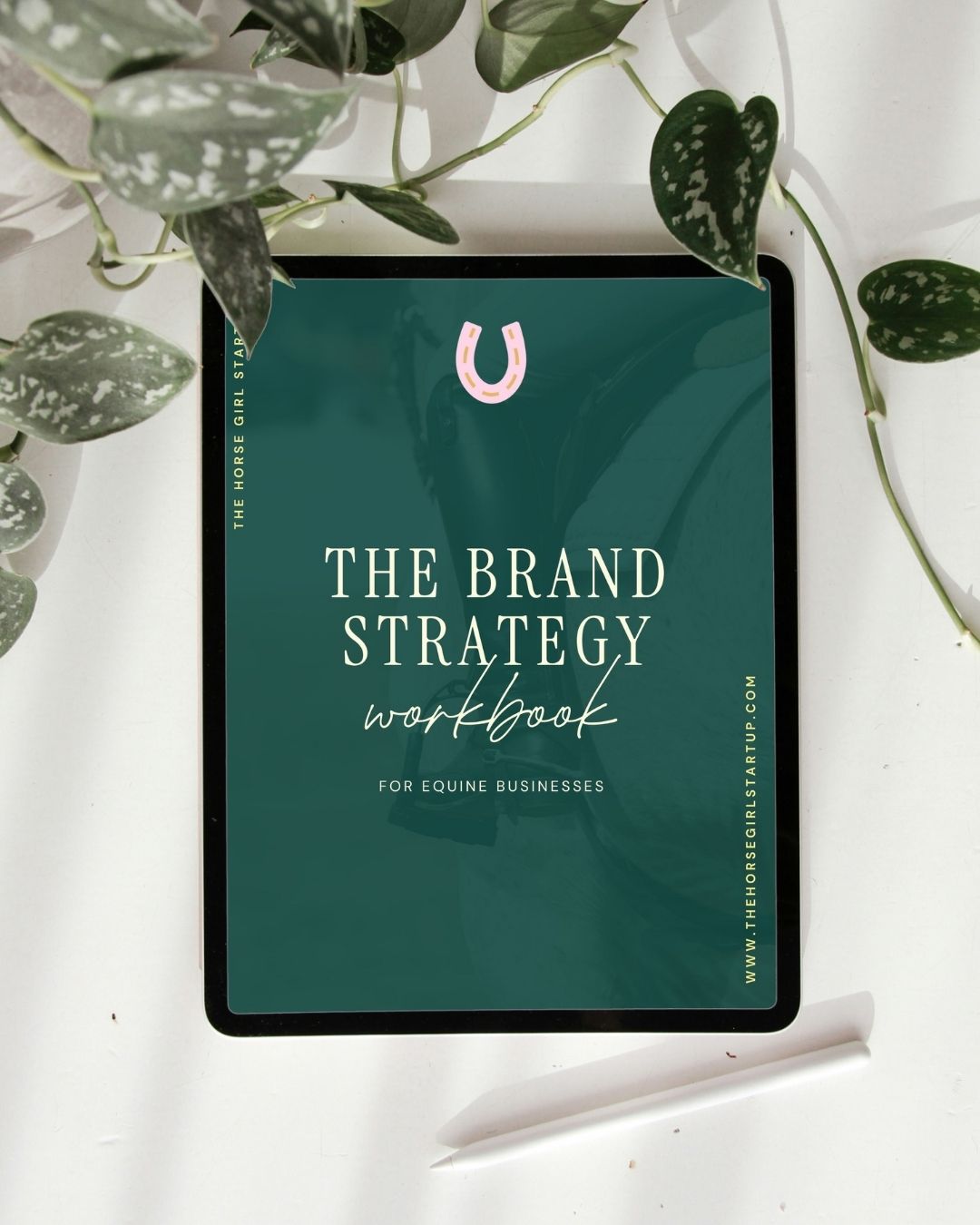 brand-strategy-for-equine-businesses