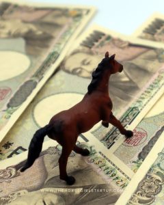 how-to-build-a-successful-equine-business