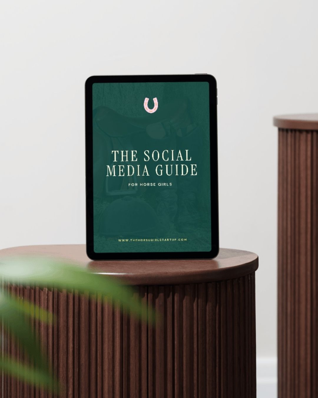 the-social-media-guide-for-horsegirls